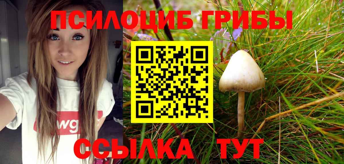 Псилоцибиновые грибы MAGIC MUSHROOMS  Вход с VPN  Кизилюрт  Галлюциногенные грибы ЛСД 